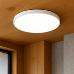 Lampa Sufitowa Minimalistyczna z Okrągłym Kloszem i Regulacją Barwy Światła
