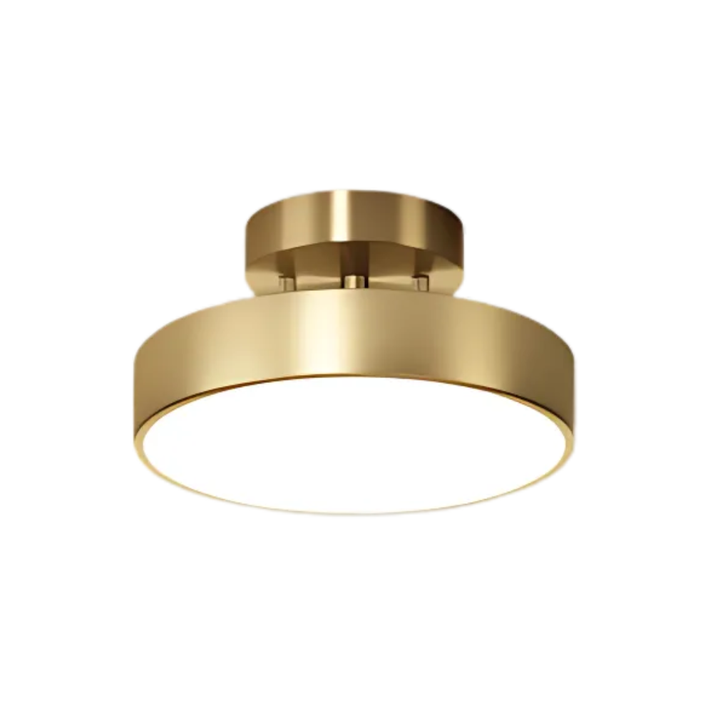Lampa Sufitowa Modernistyczna z Okrągłym Kloszem i Regulowaną Głowicą