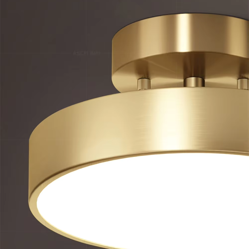 Lampa Sufitowa Modernistyczna z Okrągłym Kloszem i Regulowaną Głowicą