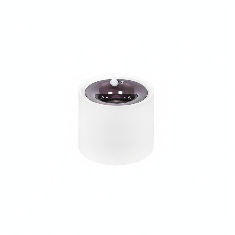 Lampa Sufitowa Spot Minimalistyczna z Czujnikiem Ruchu i Regulacją Temperatury Barwowej ##POS:1##