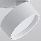 Lampa Sufitowa Spot Minimalistyczna z Obrotową Głowicą