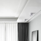 Lampa Sufitowa Spot Minimalistyczna z Obrotową Głowicą